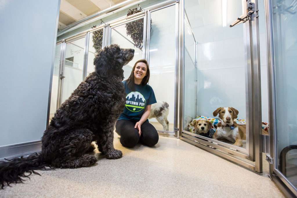 Puppy boarding sale training school