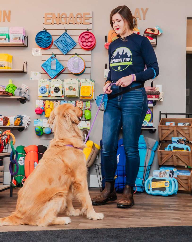 Indianapolis dog training at Uptown PUp